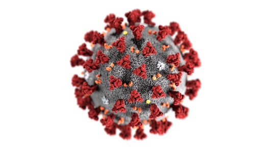 Coronavirus-small